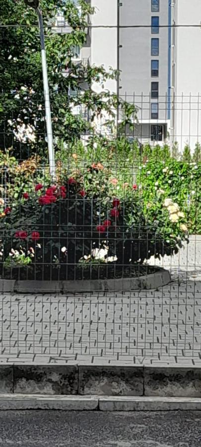 Coresi, 2 Camere, Sleeps 6 Large Private Garden Apartment Pets Welcome 布拉索夫 外观 照片